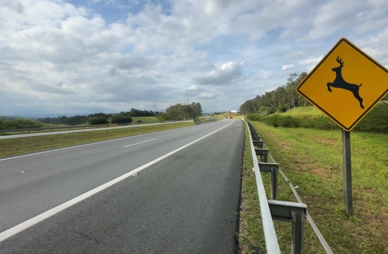 Tragédia em São José dos Campos: Trabalhador morre atropelado por caminhão em obra na Rodovia Carvalho Pinto