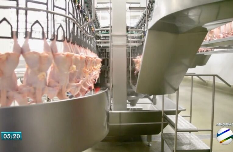 Conflito no Oriente Médio: USP avalia impactos e desafios para o mercado brasileiro de carne de frango