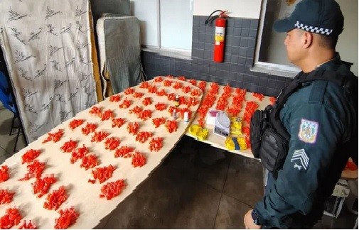 Apreensão de quase mil papelotes de pasta base expõe estrutura do tráfico em Icoaraci, Belém