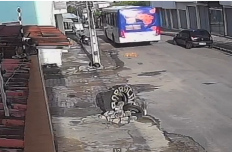 Ônibus atropela e mata cachorro em Caruaru; caso reacende debate sobre socorro e responsabilidade