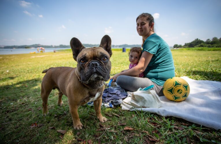 São Vicente avança em urbanismo pet-friendly com novo Parque Pet na orla do Itararé