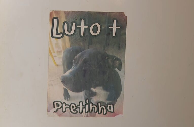 Após cachorra ser morta por PM em Guará, tutora reflete sobre indenização: ‘Nenhum dinheiro vai trazê-la de volta’