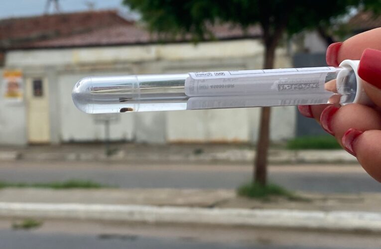Chuvas Intensas em Petrolina Acendem Alerta para Dengue, Zika e Chikungunya e Desafiam Infraestrutura Urbana